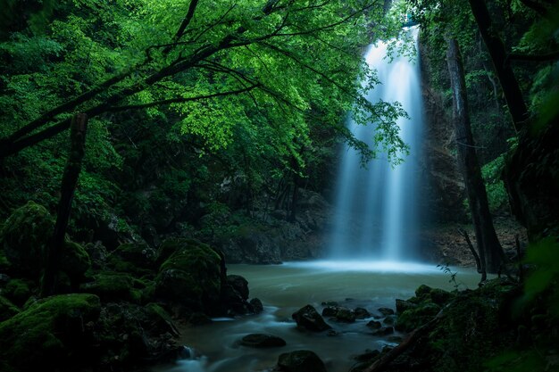 Bela foto de uma cachoeira na floresta