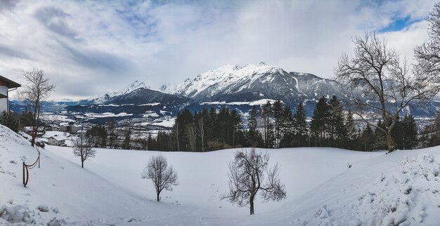 Bela foto de uma cadeia de montanhas cercada por pinheiros em um dia de neve