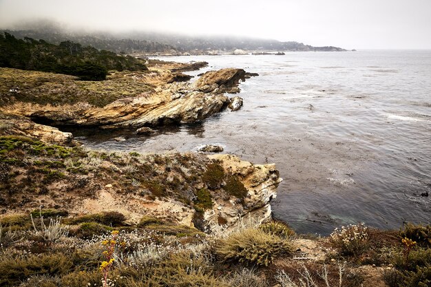 Bela foto de uma costa da Reserva Natural Estadual de Point Lobos, Califórnia, EUA
