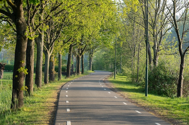 Foto grátis bela foto de uma estrada cercada de árvores verdes