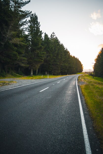 Bela foto de uma estrada estreita de cimento ao lado de uma floresta com incrível céu claro