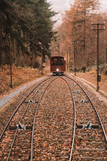 Foto grátis bela foto de uma ferrovia de bonde em heidelberg, alemanha