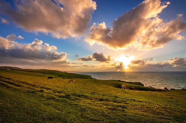 Bela foto de uma paisagem costeira ao nascer do sol