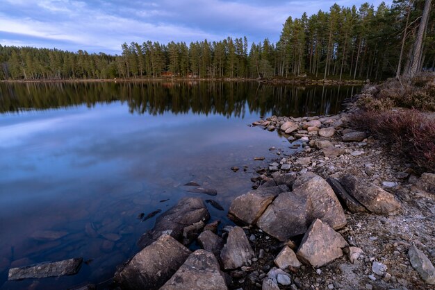 Bela foto de uma paisagem de um lago calmo e da floresta