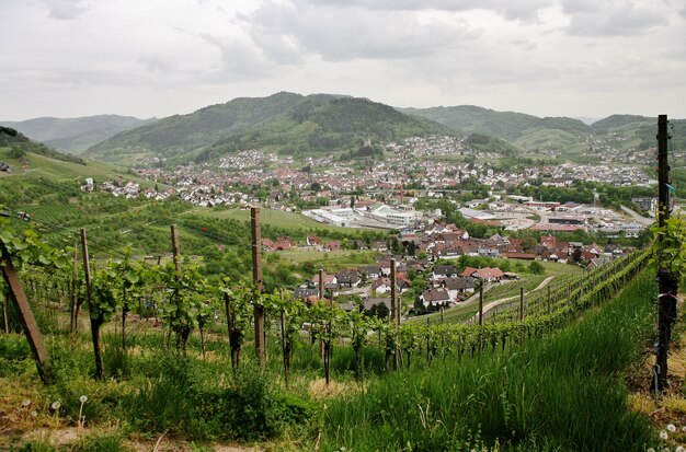 Bela foto de vinhedos verdes e montanhosos com o fundo da cidade de Kappelrodeck