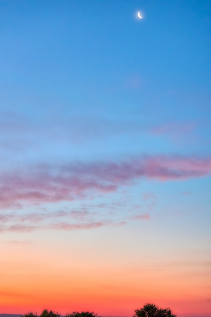 Bela foto do pôr do sol incrível com o céu vermelho sobre uma floresta nublada no campo