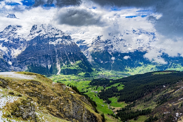 Bela foto dos Alpes nevados e vales verdes em Grindelwald, Suíça