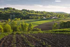 Foto grátis bela foto horizontal de um campo verde com arbustos, árvores e pequenas casas no campo