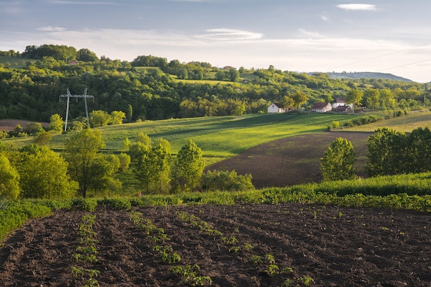 Bela foto horizontal de um campo verde com arbustos, árvores e pequenas casas no campo
