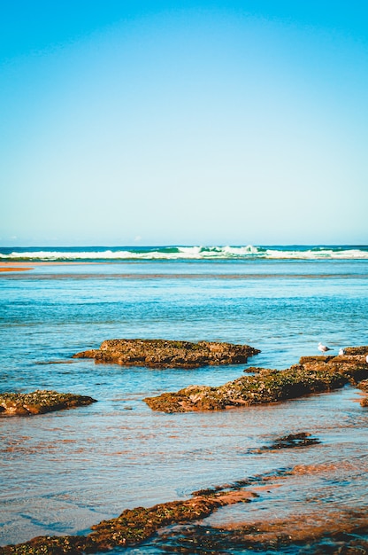 Bela foto vertical de ondas azuis vibrantes do oceano ao redor da praia rochosa