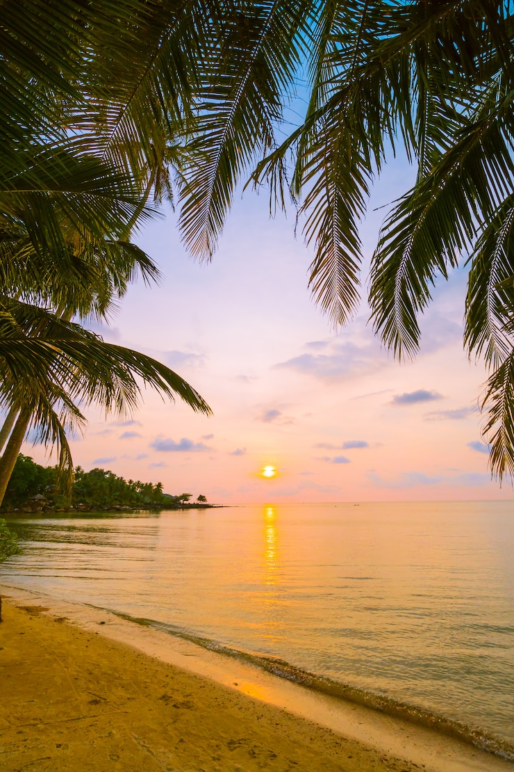 Foto grátis bela ilha paradisíaca com praia e mar ao redor da palmeira de coco