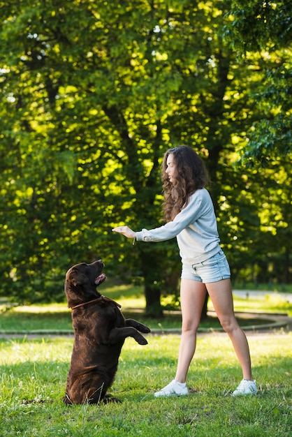 Bela jovem brincando com seu cachorro no jardim