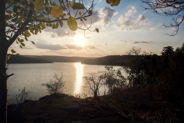 Bela luz do sol da manhã