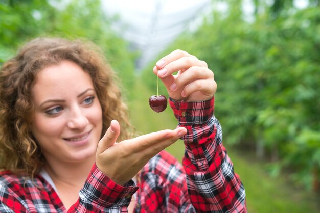 Bela mulher agricultora segurando frutas cereja em pomar verde