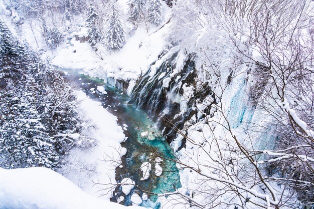 Bela natureza ao ar livre paisagem com shirahige cachoeira e ponte na temporada de inverno neve