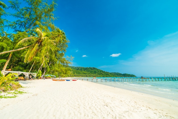 Bela natureza tropical praia e mar com coqueiro na ilha paradisíaca