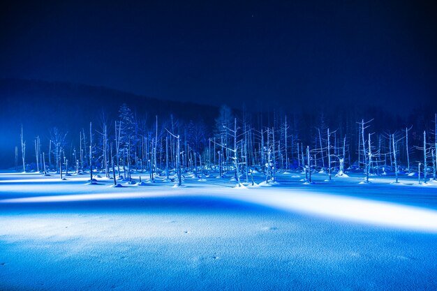 Bela paisagem ao ar livre com rio lagoa azul à noite com luz na temporada de inverno neve