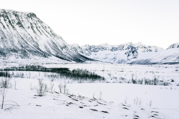 Bela paisagem coberta de neve na noruega