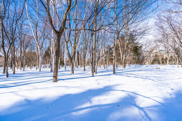 Bela paisagem com árvore na temporada de inverno neve