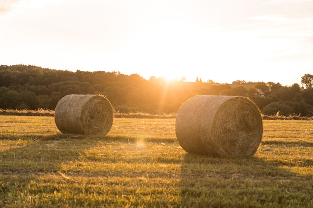 Bela paisagem com rolos de fenos e pôr do sol