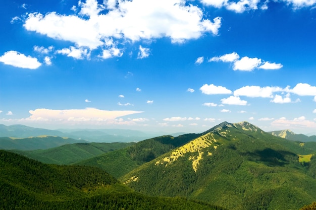 Bela paisagem da floresta ucraniana das montanhas dos Cárpatos e céu nublado