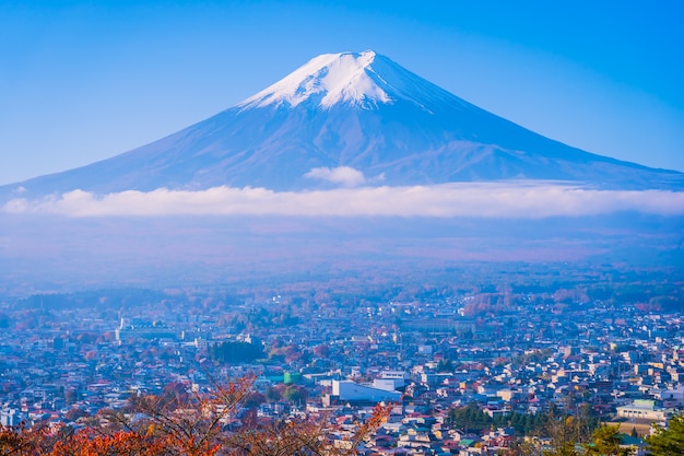 Bela paisagem da montanha fuji ao redor da árvore de folha de plátano na temporada de outono