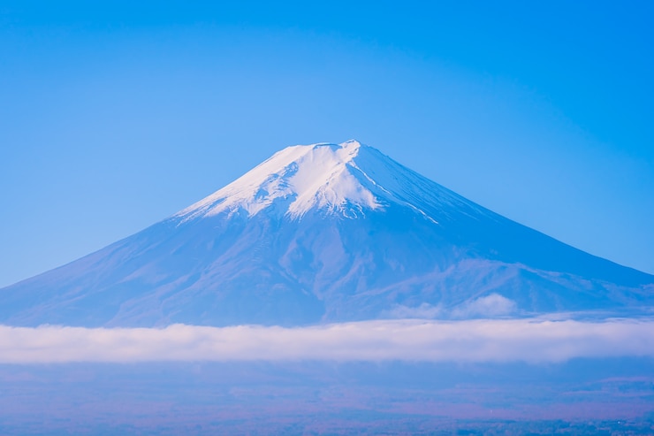 Foto grátis bela paisagem da montanha fuji ao redor da árvore de folha de plátano na temporada de outono