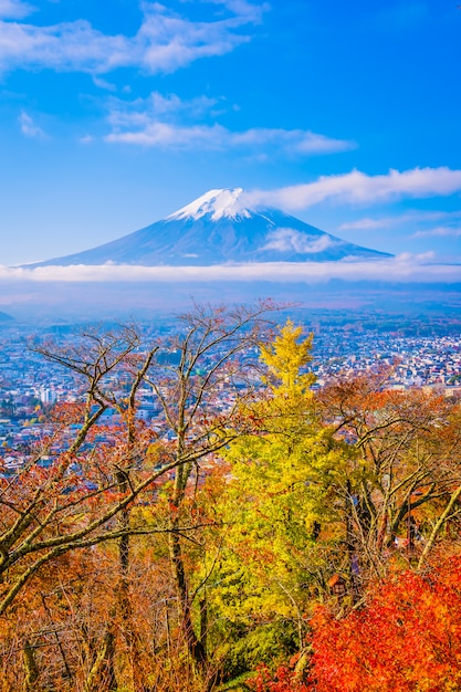 Bela paisagem da montanha fuji ao redor da árvore de folha de plátano na temporada de outono