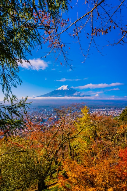 Foto grátis bela paisagem da montanha fuji ao redor da árvore de folha de plátano na temporada de outono