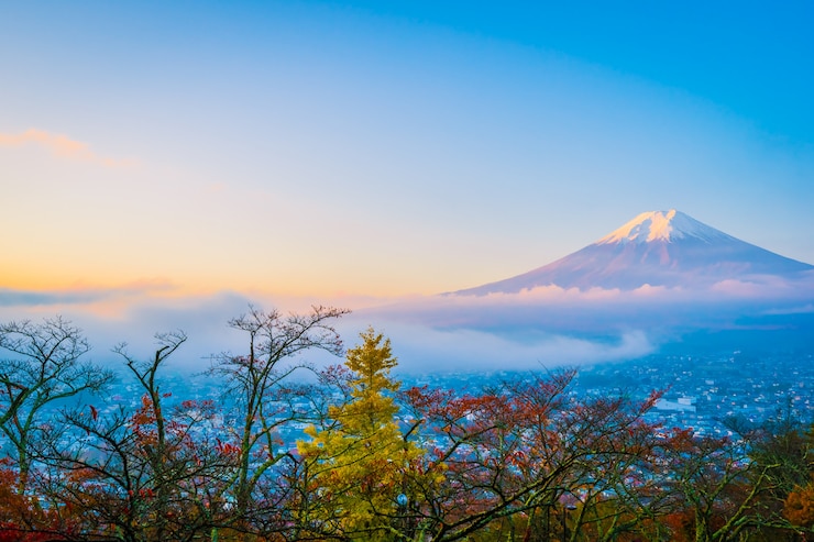 Foto grátis bela paisagem da montanha fuji ao redor da árvore de folha de plátano na temporada de outono