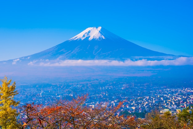 Foto grátis bela paisagem da montanha fuji ao redor da árvore de folha de plátano no outono