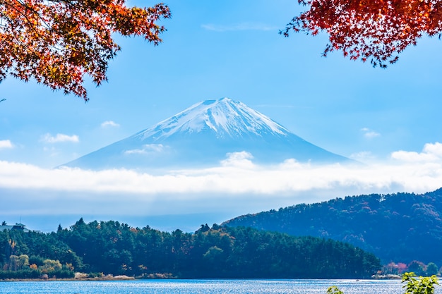 Bela paisagem da montanha Fuji com árvore de folhas de bordo ao redor do lago