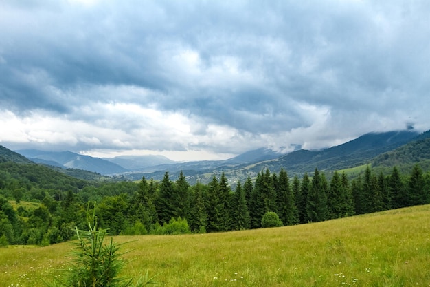 Bela paisagem das montanhas dos Cárpatos ucranianos
