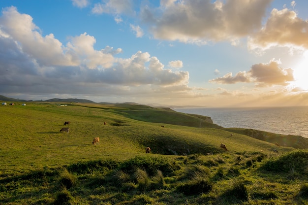 Bela paisagem de falésias rochosas à beira-mar sob um céu nublado na Cantábria, Espanha