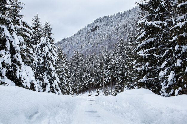 Bela paisagem de inverno com neve mista. Fundo de inverno da natureza.