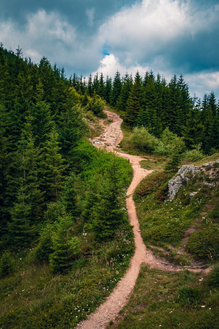 Foto grátis bela paisagem de um caminho em uma colina cercada por vegetação sob um céu nublado