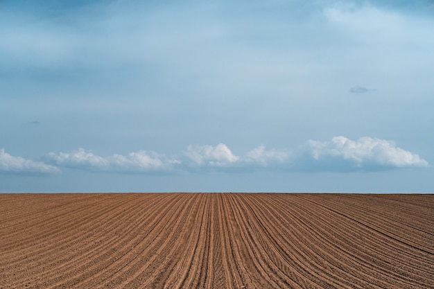 Bela paisagem de um campo agrícola cultivado sob um céu nublado