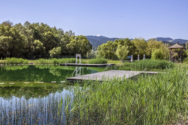 Bela paisagem de um lago com o reflexo das árvores no interior da Eslovênia