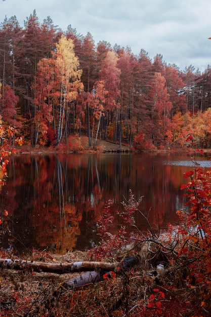 Bela paisagem de um lago rodeado de árvores com as cores do outono
