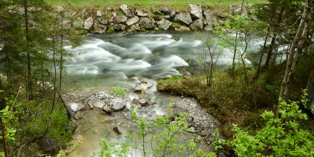 Bela paisagem de um rio em uma floresta cercada por árvores verdes