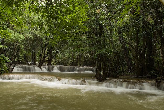 Foto grátis bela paisagem de uma poderosa cachoeira fluindo em um rio em uma floresta