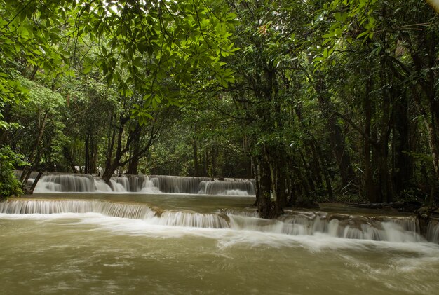 Bela paisagem de uma poderosa cachoeira fluindo em um rio em uma floresta