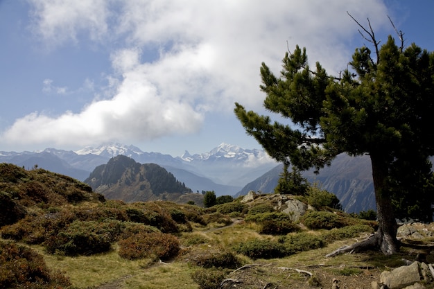 Bela paisagem de uma trilha nos Alpes suíços sob um céu nublado