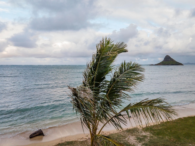 Foto grátis bela paisagem do havaí com o oceano