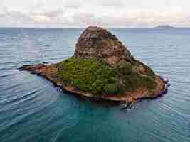 Foto grátis bela paisagem do havaí com oceano