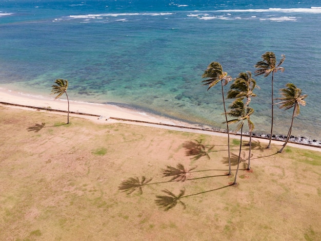 Bela paisagem do havaí com oceano