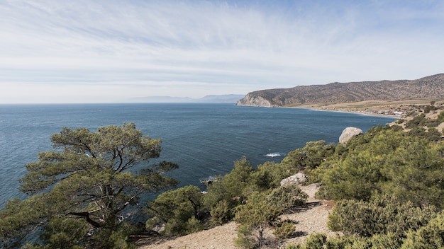 Bela paisagem do oceano e árvores verdes