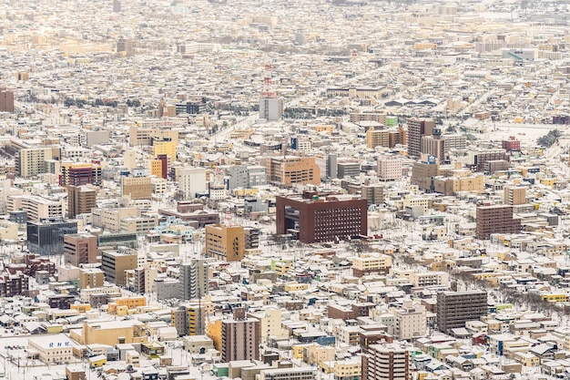 Bela paisagem e paisagem urbana da montanha Hakodate para olhar ao redor do horizonte da cidade