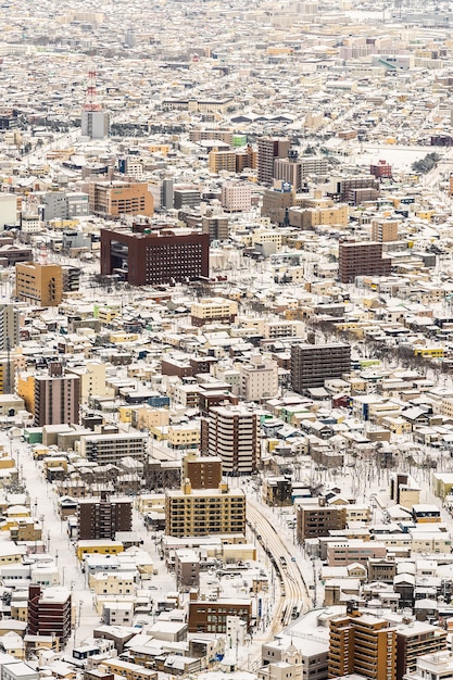 Bela paisagem e paisagem urbana da montanha Hakodate para olhar ao redor do horizonte da cidade