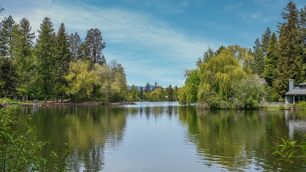 Bela paisagem fotografada de um lago verde cercado por árvores sob o céu pacífico